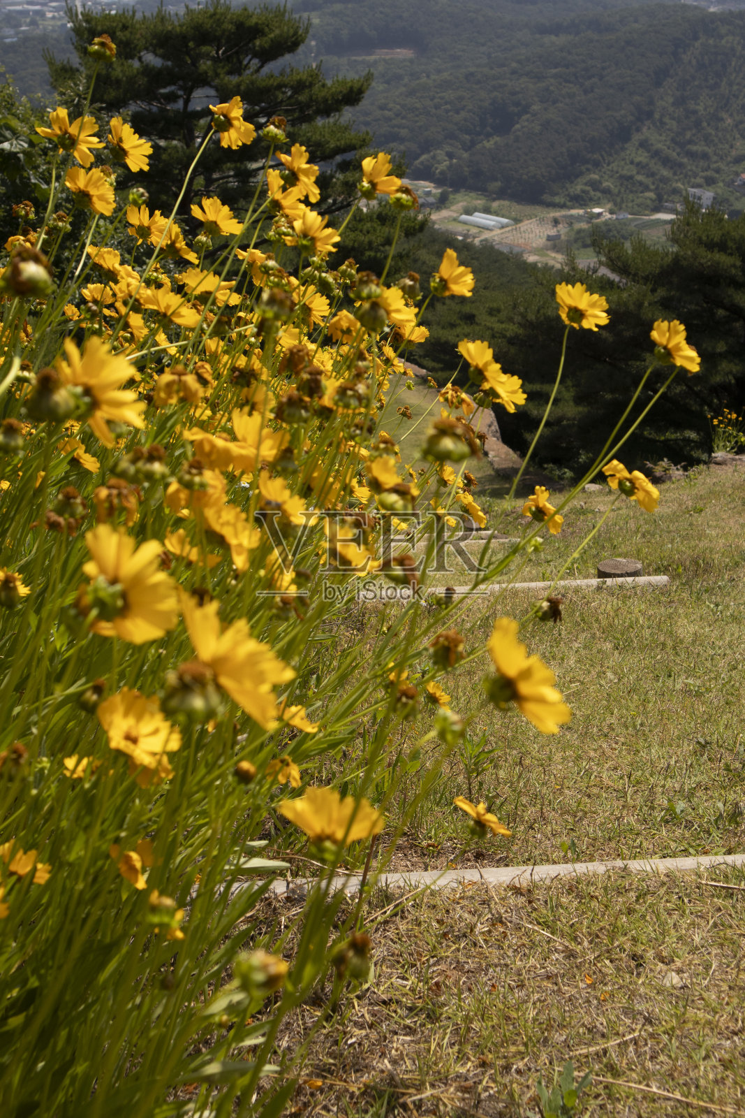 山上的宇宙照片摄影图片