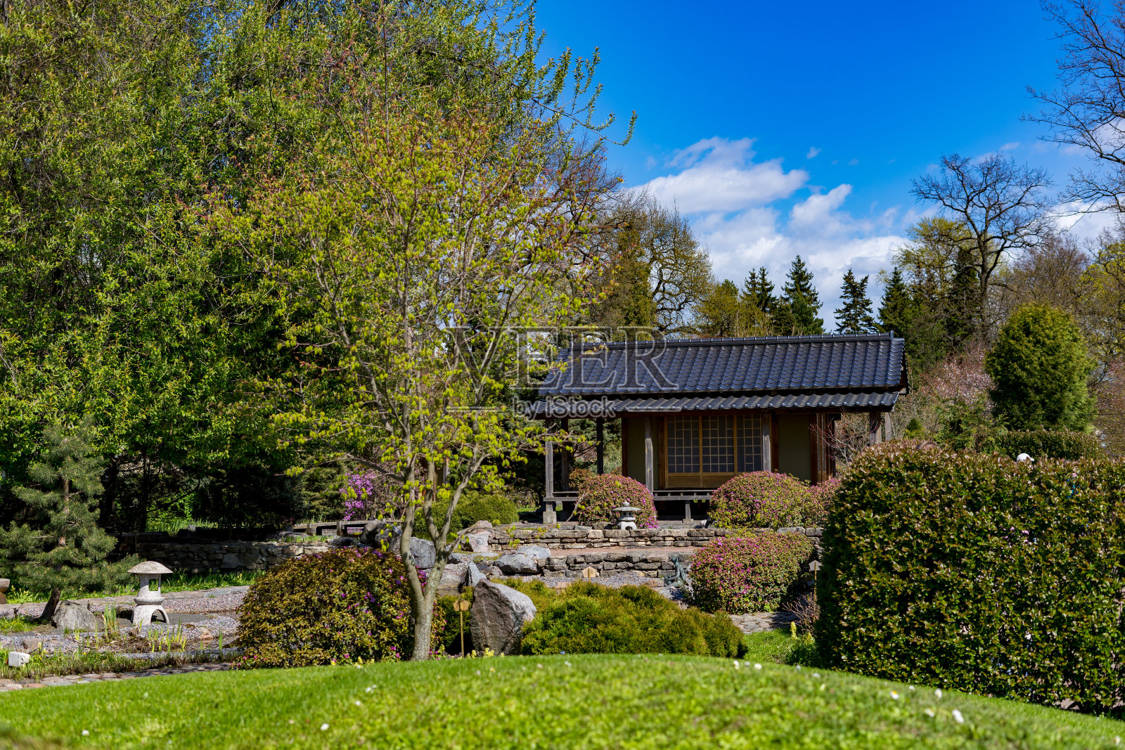 日本园林景观设计照片摄影图片