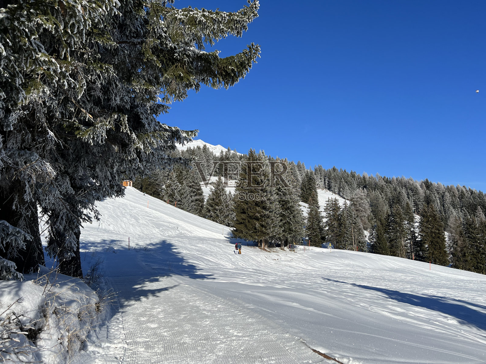 在瑞士阿尔卑斯山的旅游胜地Valbella和Lenzerheide地区，精心安排和清洁的冬季小径，适合步行，远足，运动和娱乐-瑞士格劳松州(Kanton graubnden，瑞士)照片摄影图片