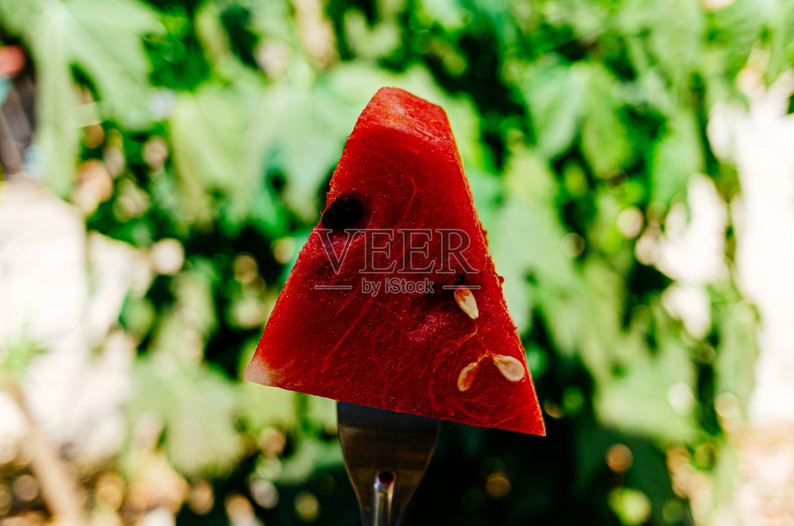 西瓜片照片摄影图片