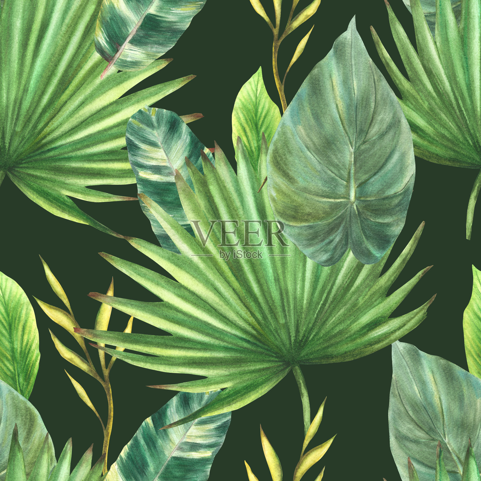 热带的叶子。水彩丛林植物无缝图案夏威夷树叶。手绘插图插画图片素材