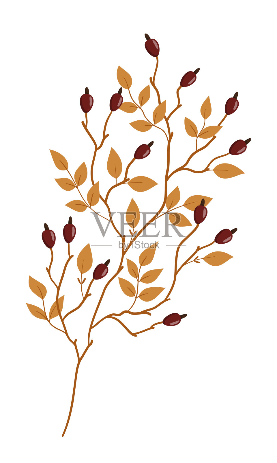 矢量手绘孤立分支插画图片素材