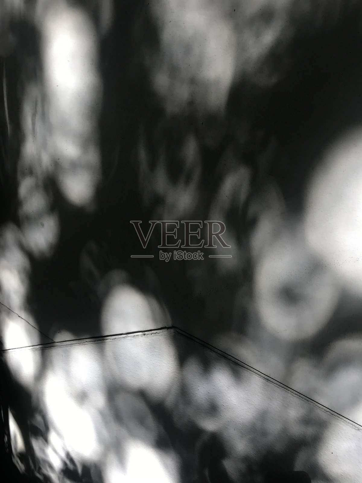 白墙上树叶的影子照片摄影图片