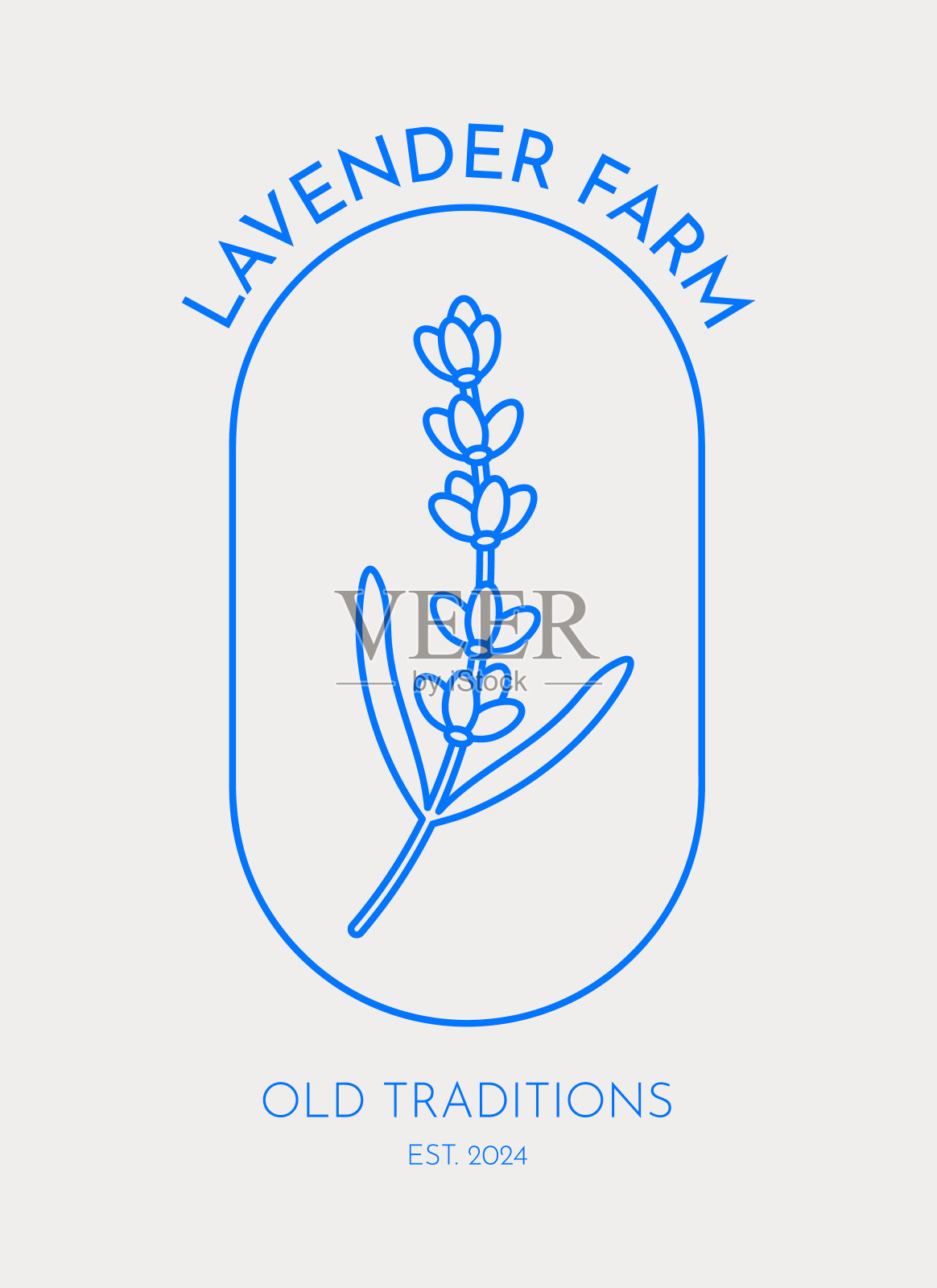 手绘矢量薰衣草插图。插画图片素材