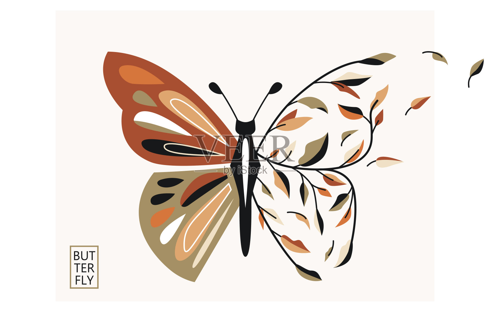 蝴蝶半叶矢量插图。飞虫与花元素分离在浅色背景。美时尚酷的概念。自然少女设计插画图片素材