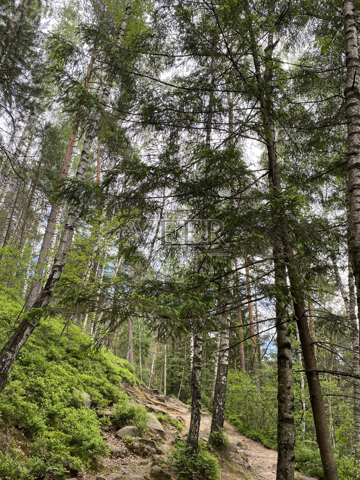 山区在一年中的任何时候都是徒步旅行的好去处照片摄影图片