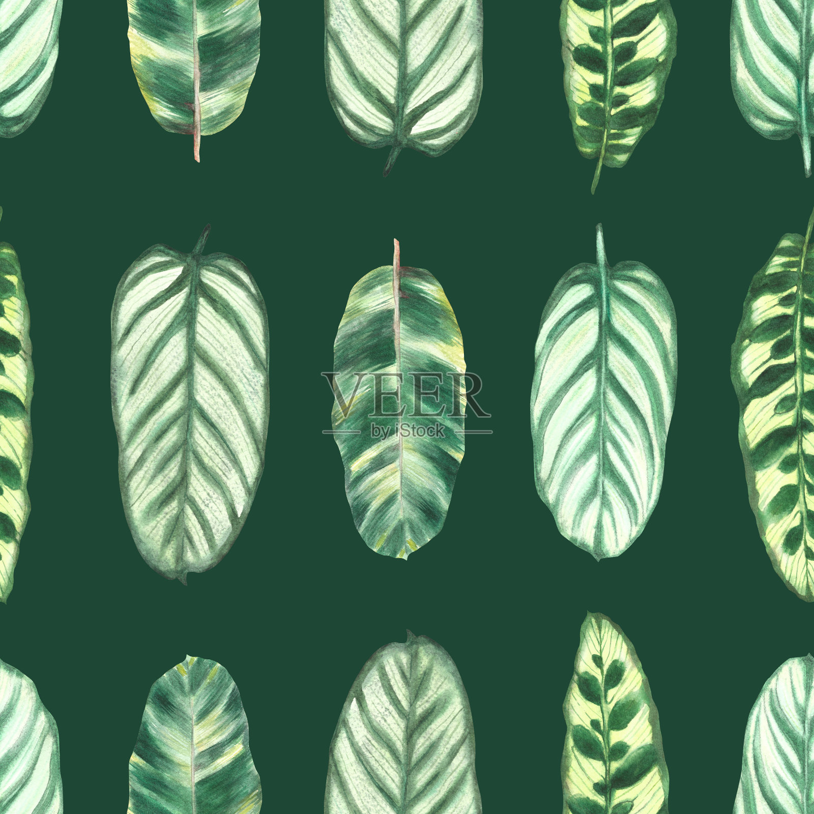 热带树叶无缝图案。丛林植物，异国情调的树叶。手绘水彩插图插画图片素材