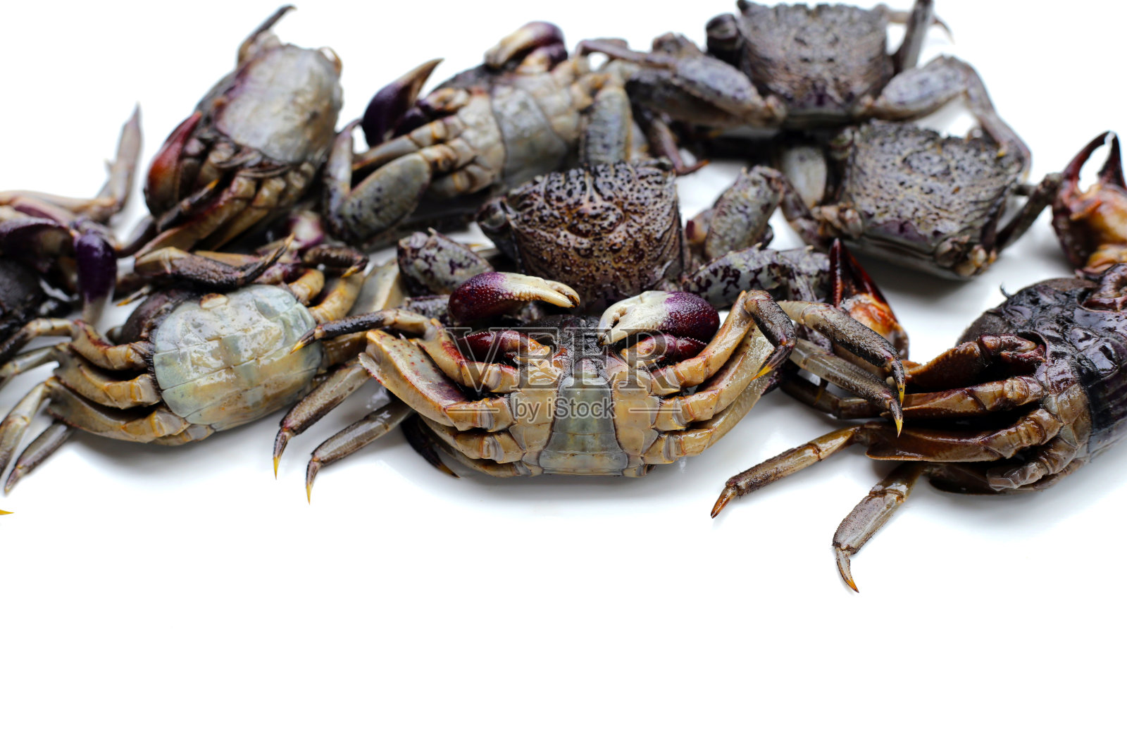 泰国菜的食材腌蟹照片摄影图片