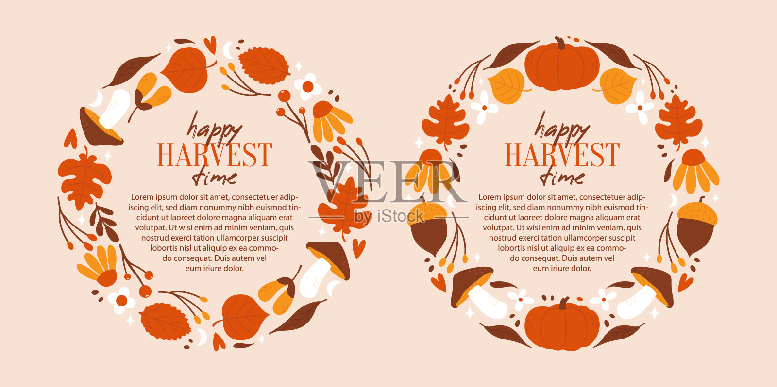 收获节快乐。一组矢量横幅模板为丰收的节日。圆形框架的植物元素，植物，花卉，蘑菇，南瓜，种子，橡树叶，树枝。装饰的边界。插画图片素材