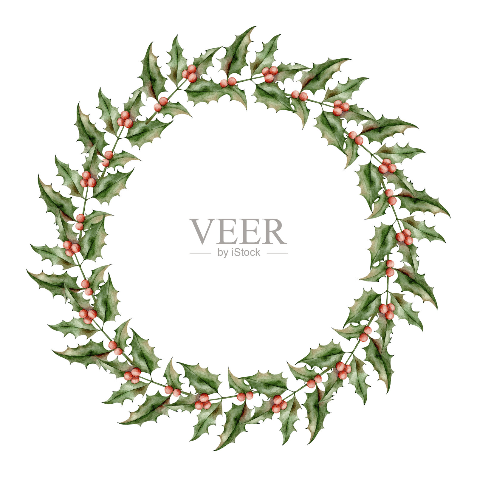 新年圣诞手绘冬青枝水彩花环插画图片素材