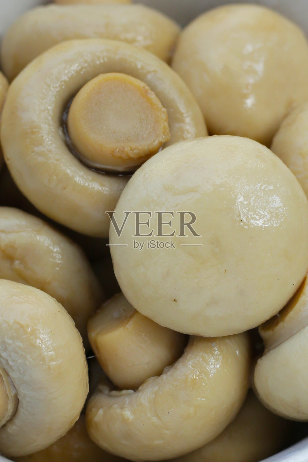 咸水香菇。整瓶香菇罐头照片摄影图片