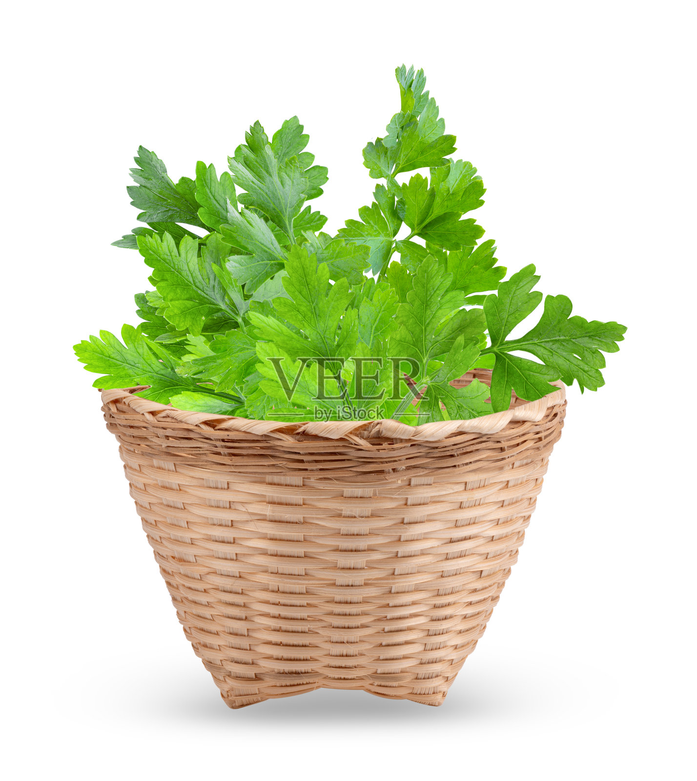 在白色背景上孤立的篮子里的欧芹照片摄影图片
