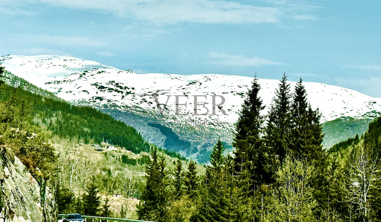 北挪威冰川和古森林照片摄影图片