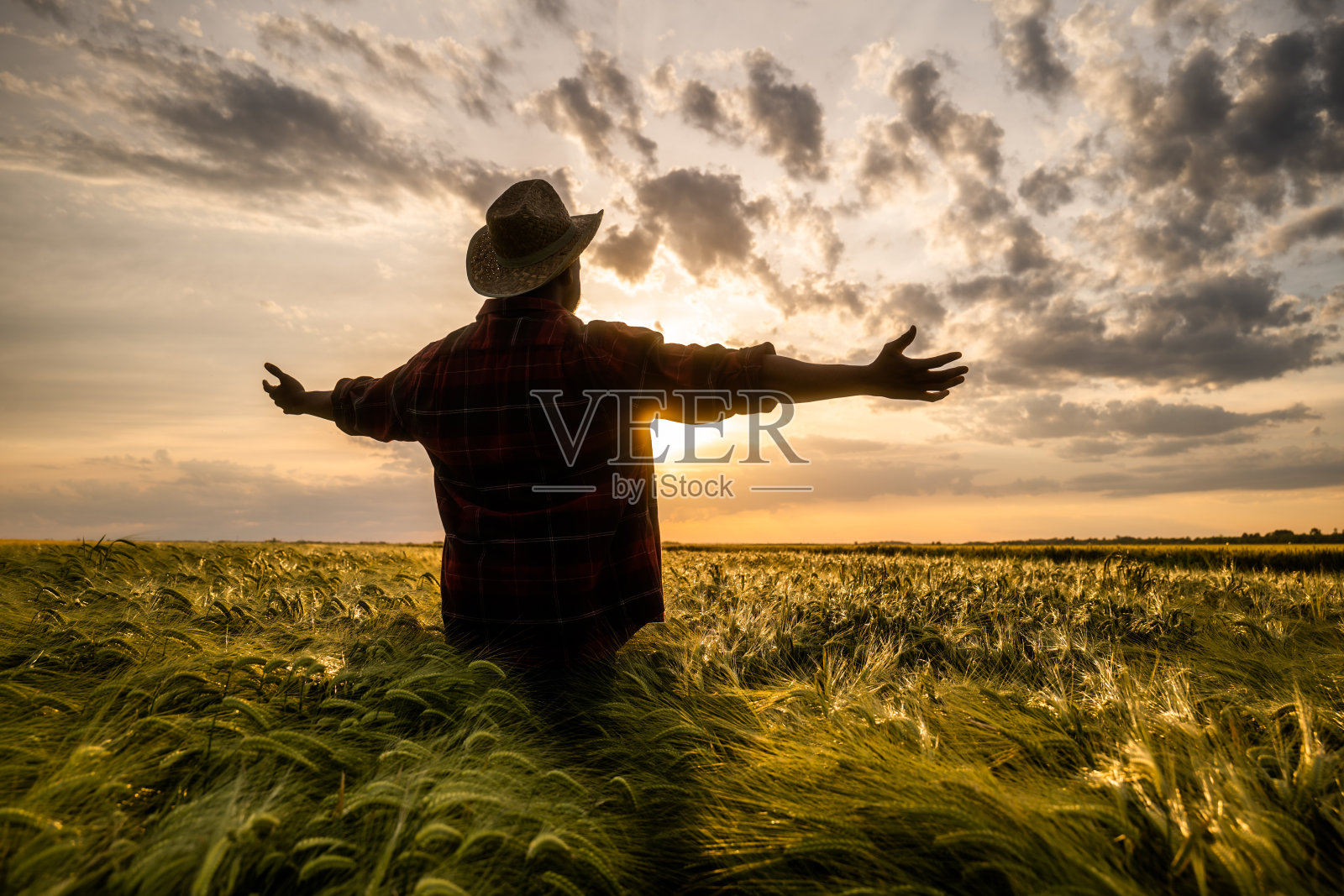 一个农民的剪影，双臂伸在麦田里照片摄影图片