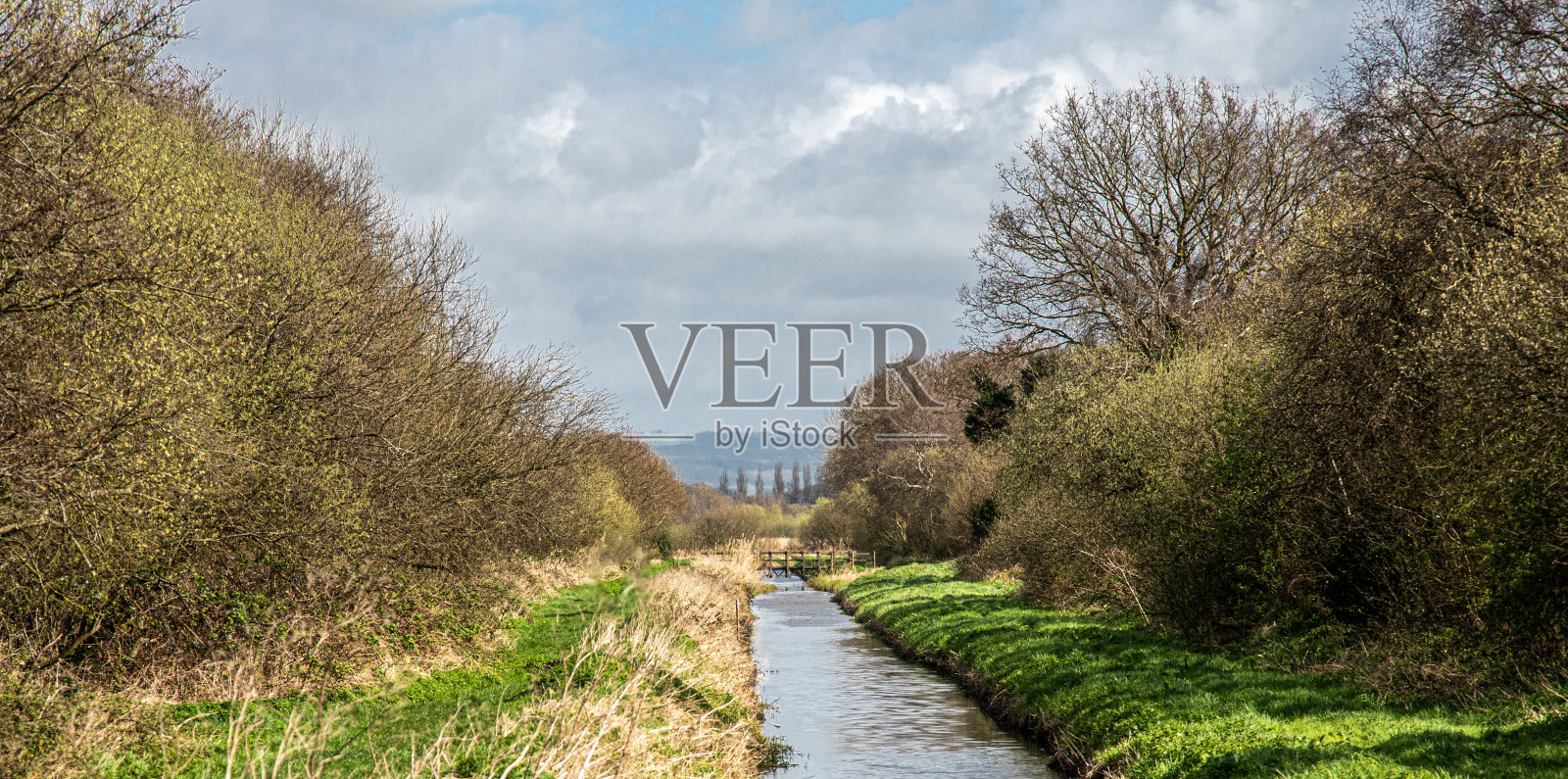 森林中有一条河。照片摄影图片