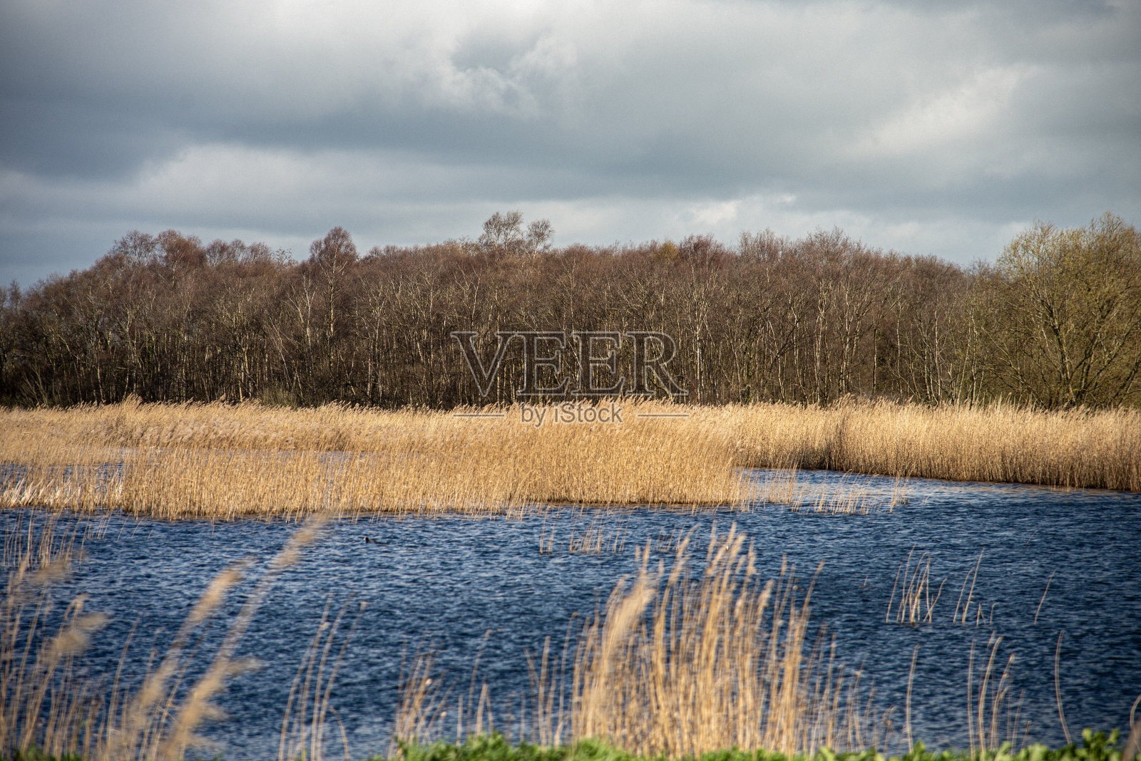 河流，森林，多云的春天时光。照片摄影图片
