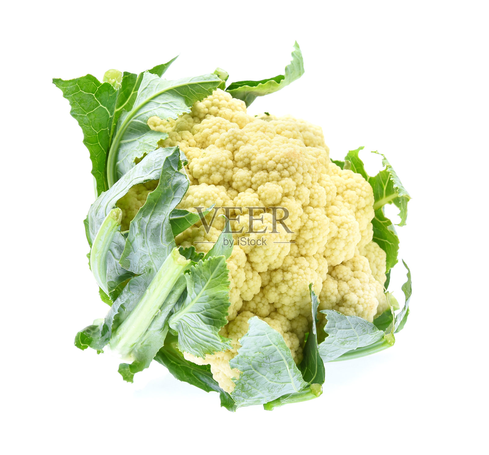白底孤立的花椰菜照片摄影图片