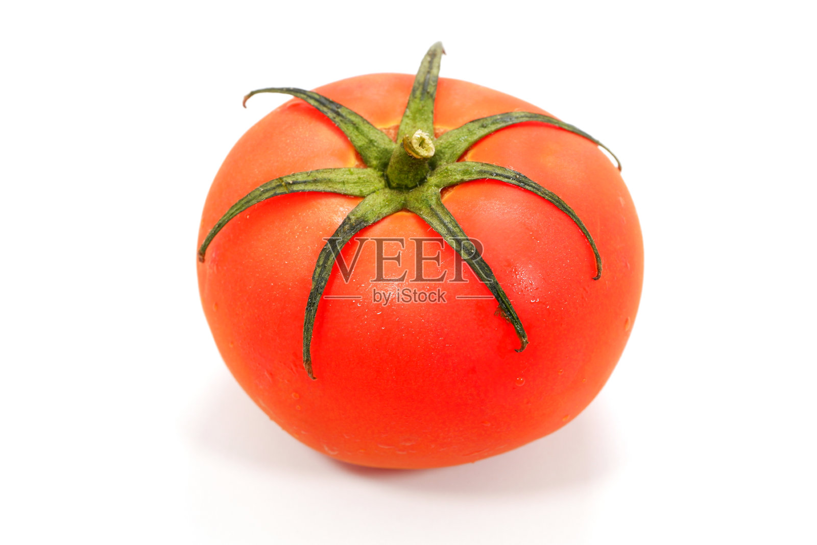特写镜头下的新鲜番茄，独立白色背景，留白照片摄影图片