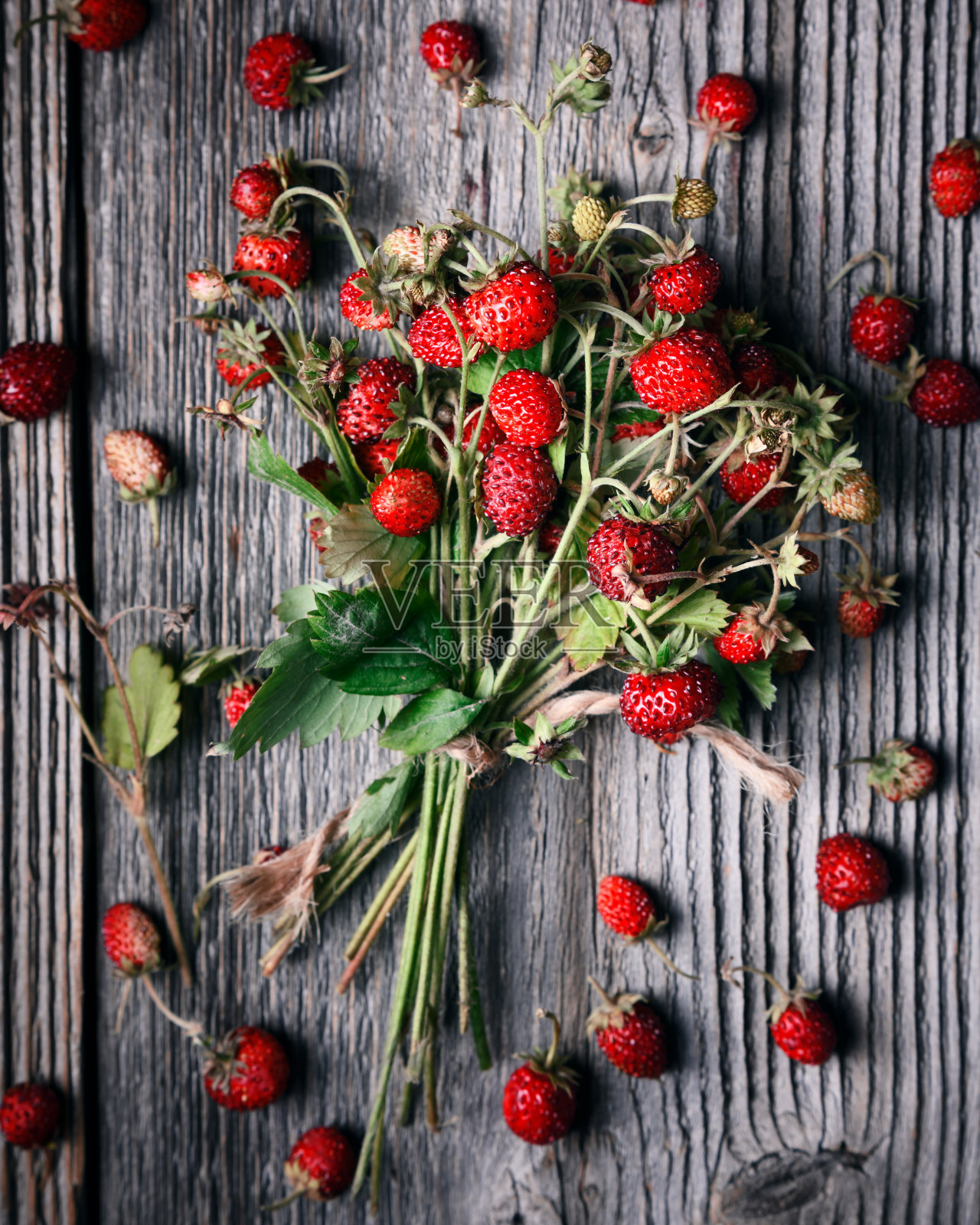 野生草莓的浆果，成熟的果实呈红色照片摄影图片
