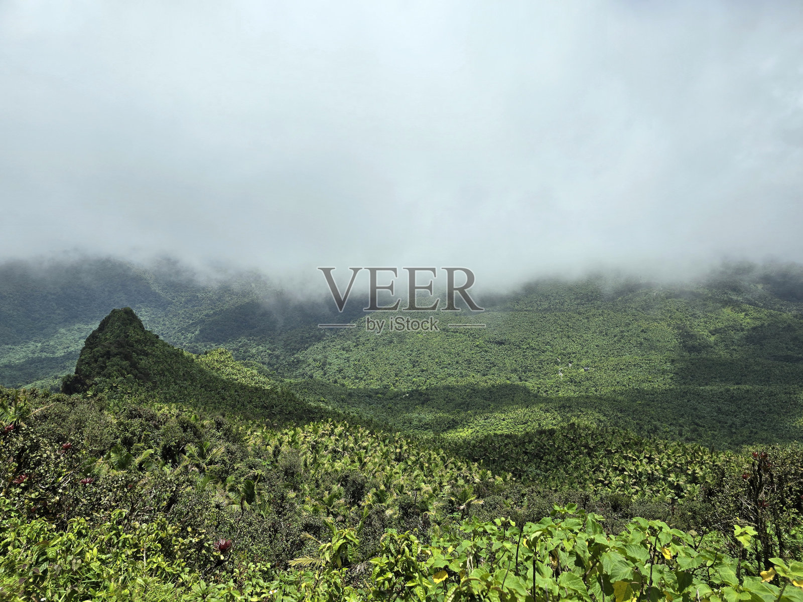 多云雨林岛自然景观照片摄影图片