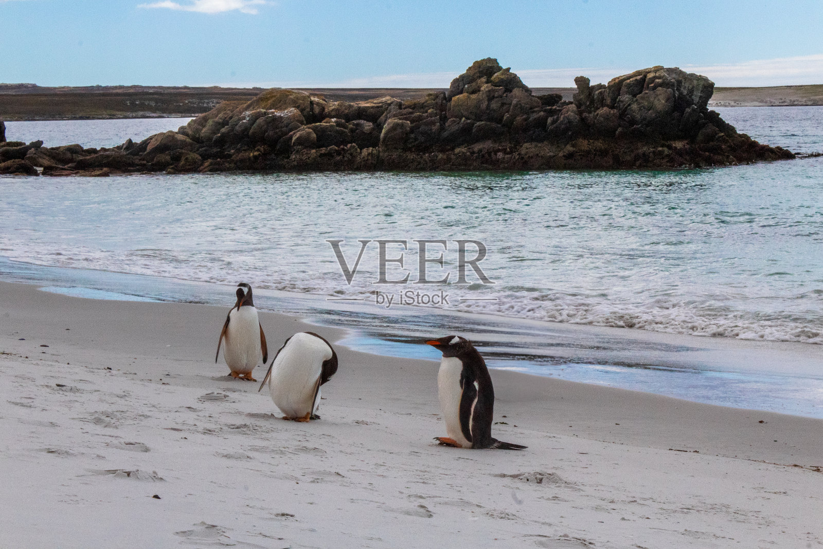 壮观的南极之旅照片摄影图片