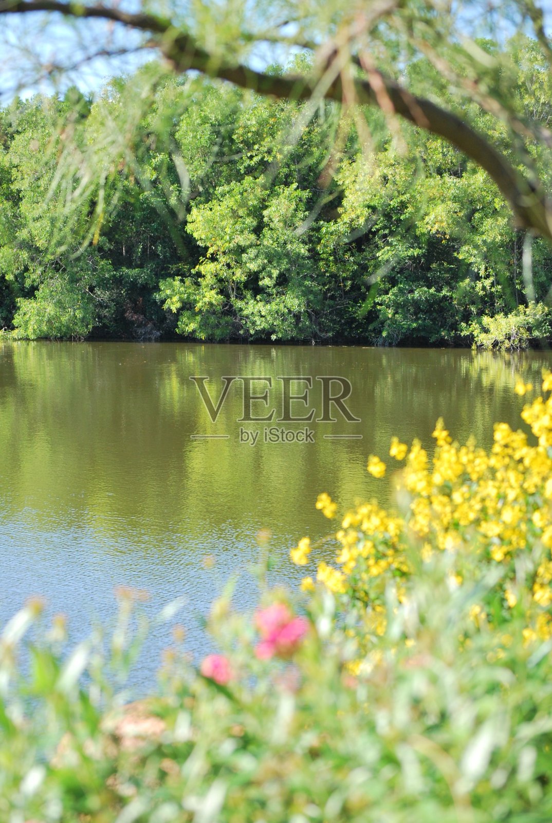 迈阿密的水和风景。照片摄影图片