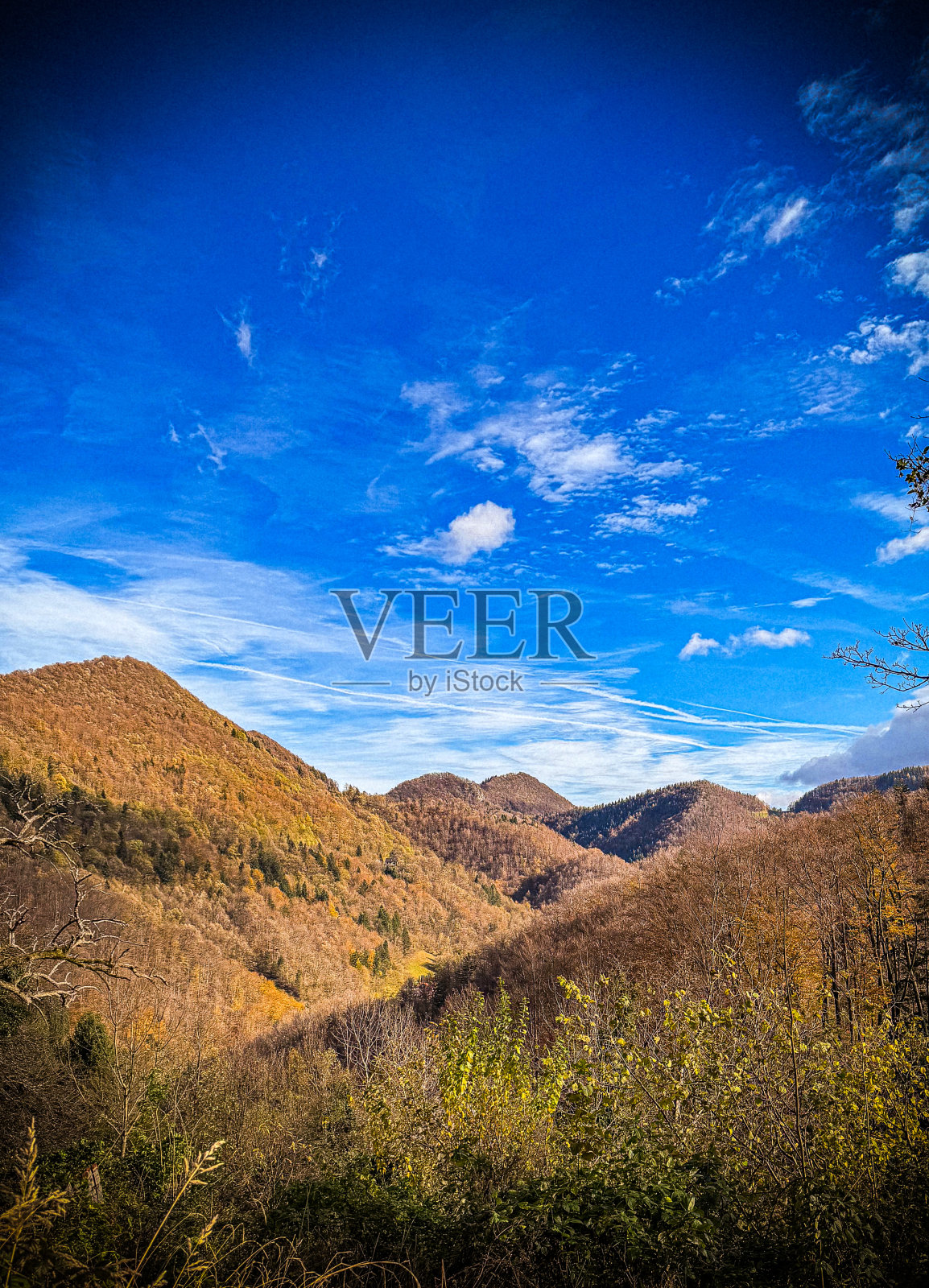 秋林和山林照片摄影图片