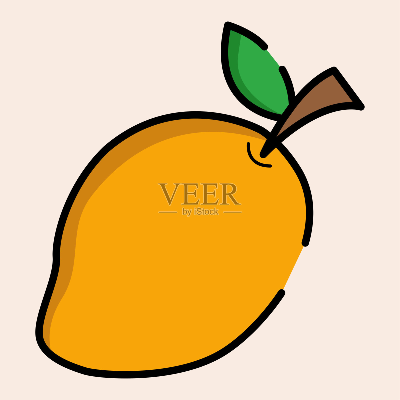 成熟的芒果插画图片素材