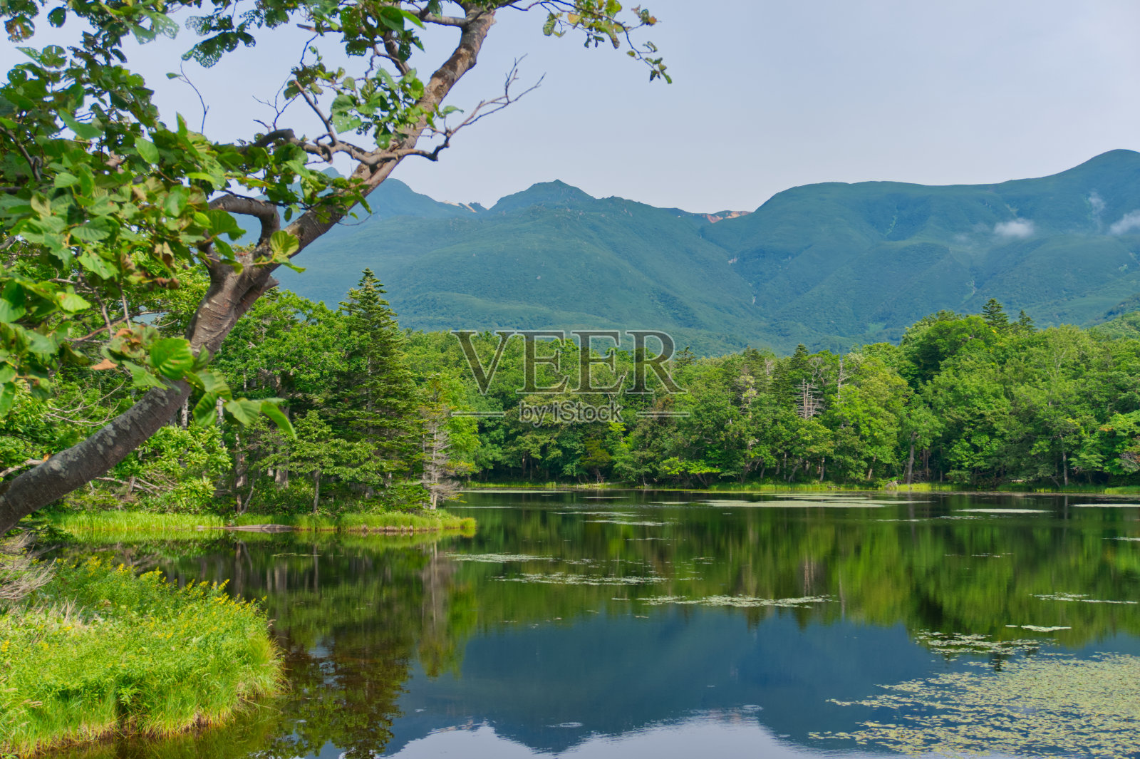 北海道东部，夏季游览，七子五子湖照片摄影图片