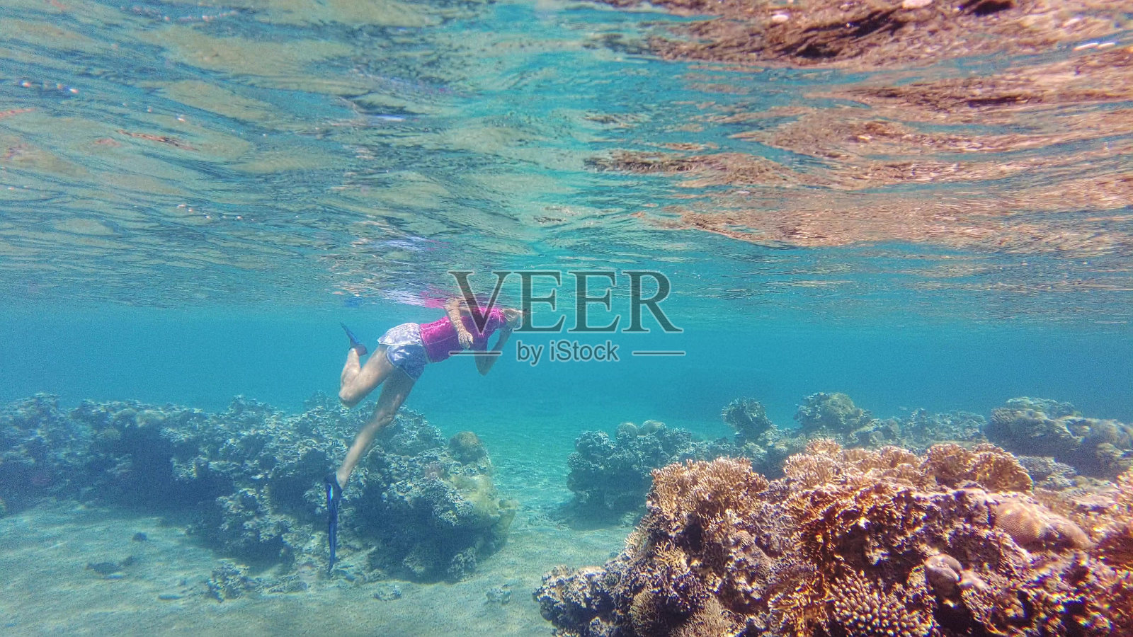 在亚喀巴珊瑚礁的浮潜探险照片摄影图片