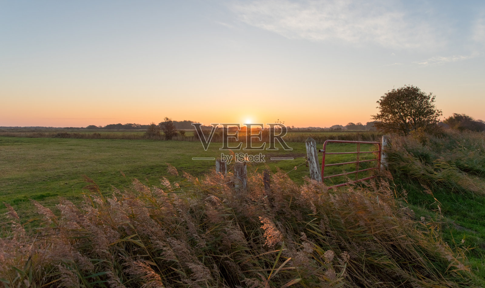 德国北部|福尔岛|景观|村庄|马匹照片摄影图片