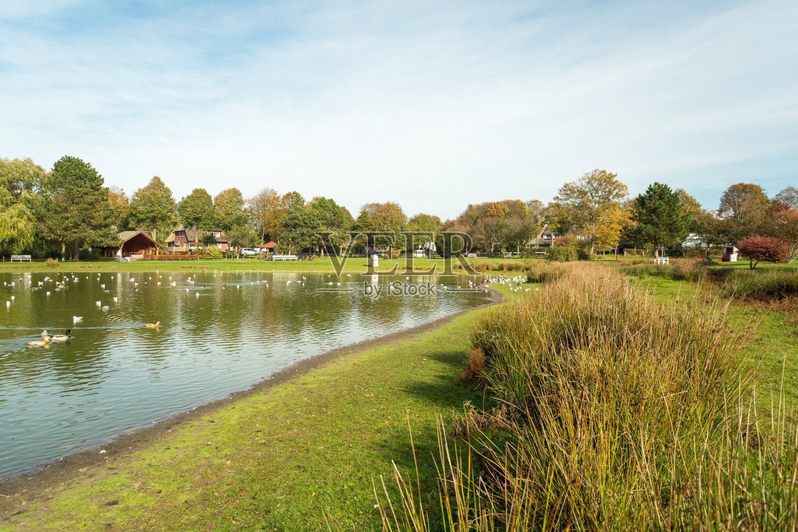 德国北部|福尔岛|景观|村庄|北海照片摄影图片