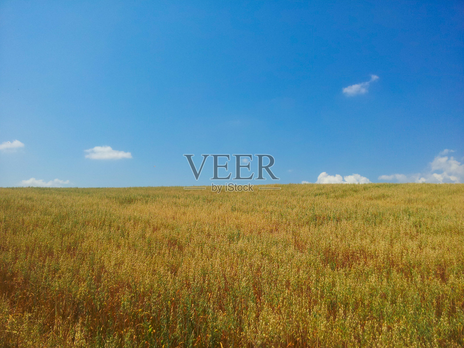 景观照片摄影图片