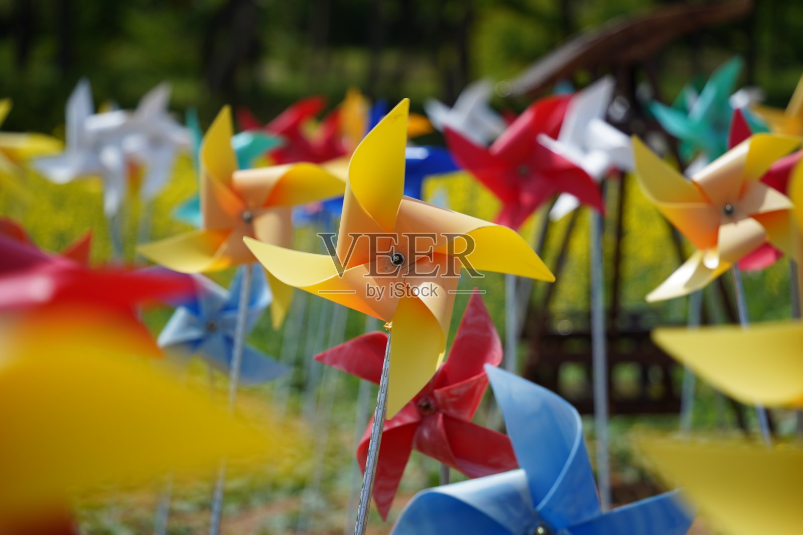 公园里五颜六色的风车，照片特写照片摄影图片