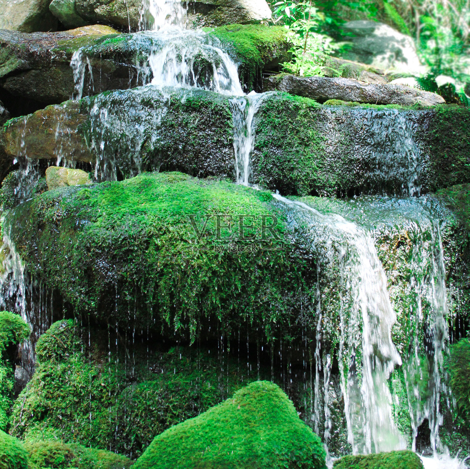 在郁郁葱葱的森林中，瀑布从长满青苔的岩石上倾泻而下照片摄影图片