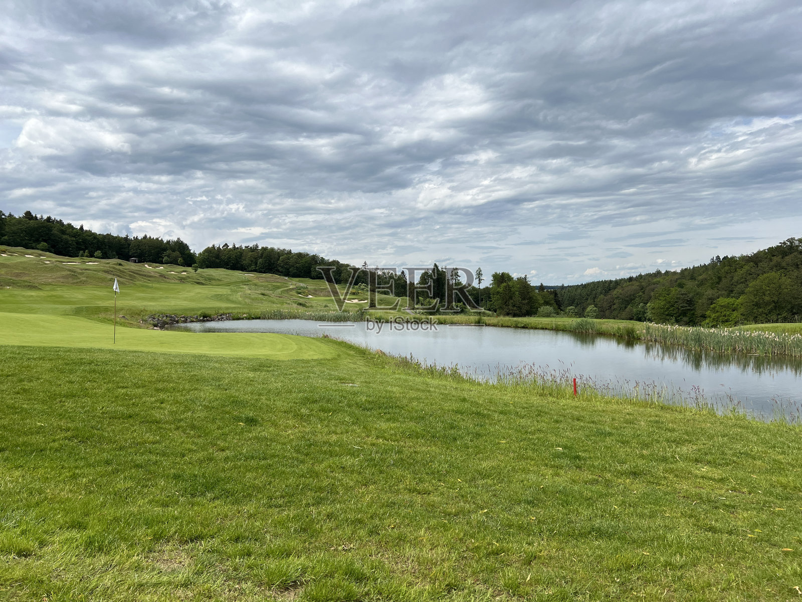 生物群落，花园池塘照片摄影图片