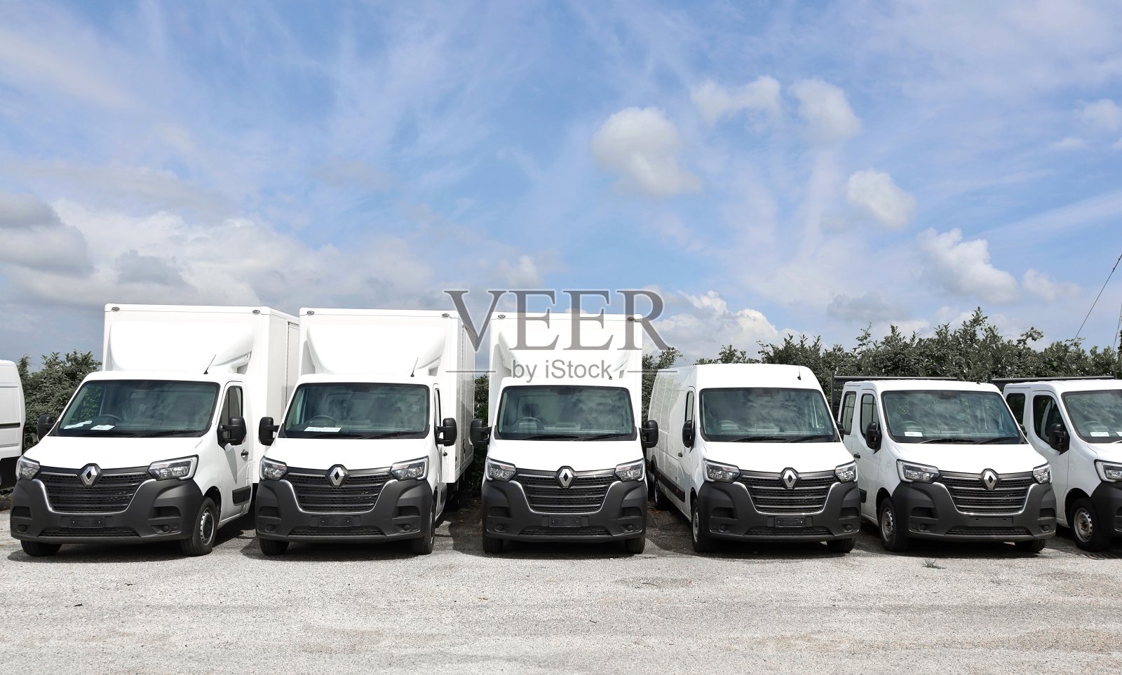 雷诺商用车“traffic”和“Master”的前视图排成一排照片摄影图片