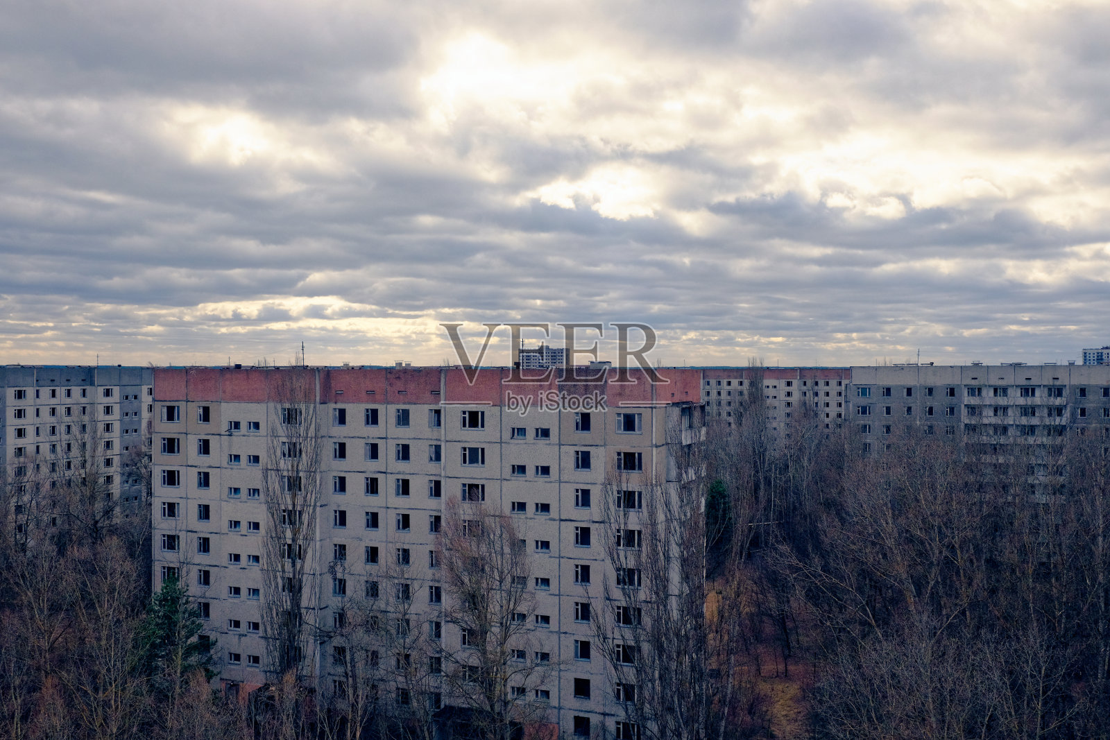 多云的天空隐约出现在高耸而光秃秃的树木之间的老公寓楼上。照片摄影图片