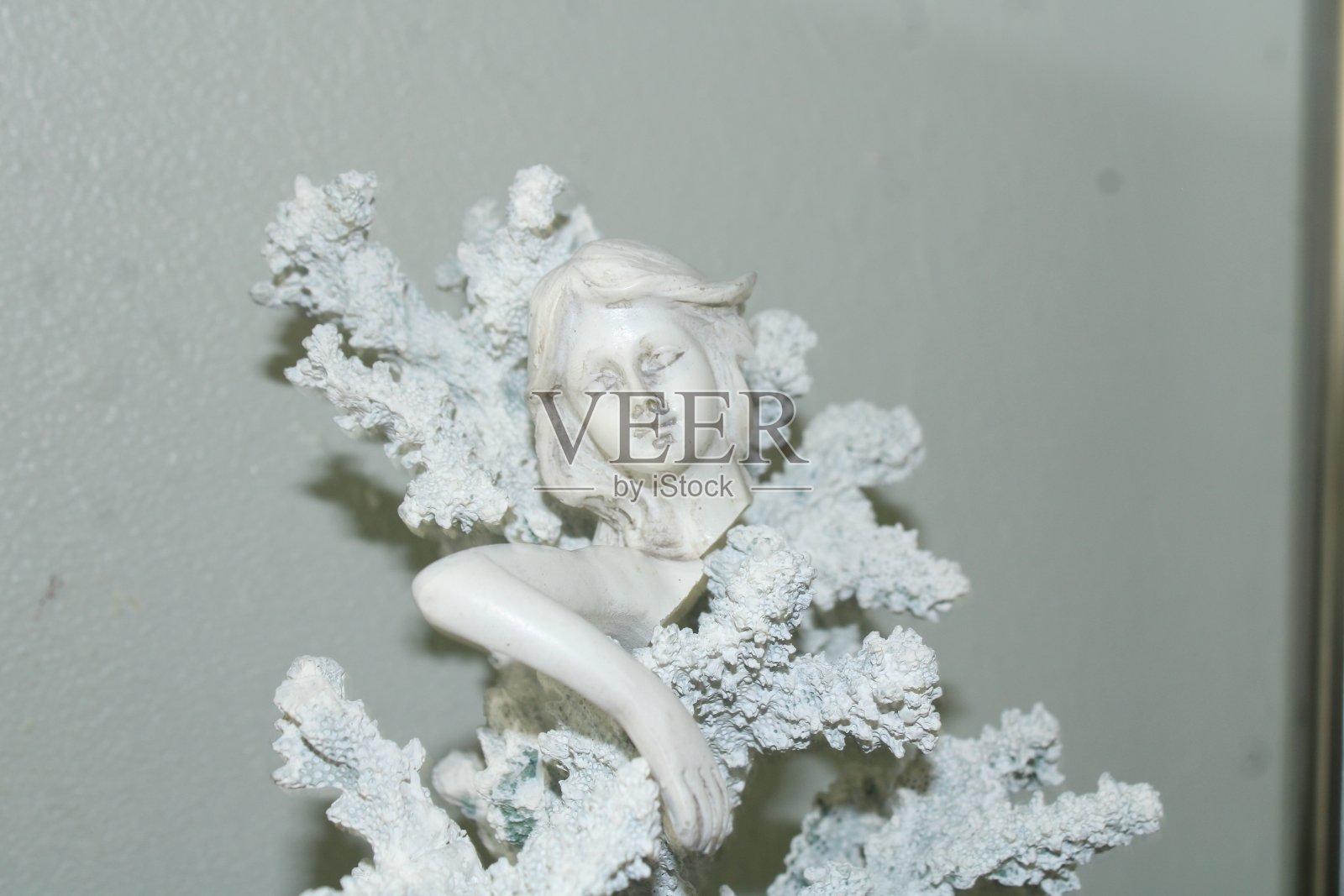 露出白色珊瑚的美人鱼脸照片摄影图片