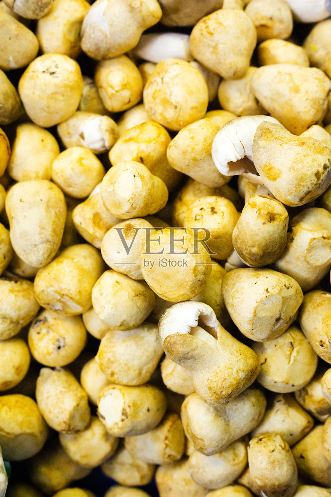 市场摊位上的泰国蘑菇照片摄影图片