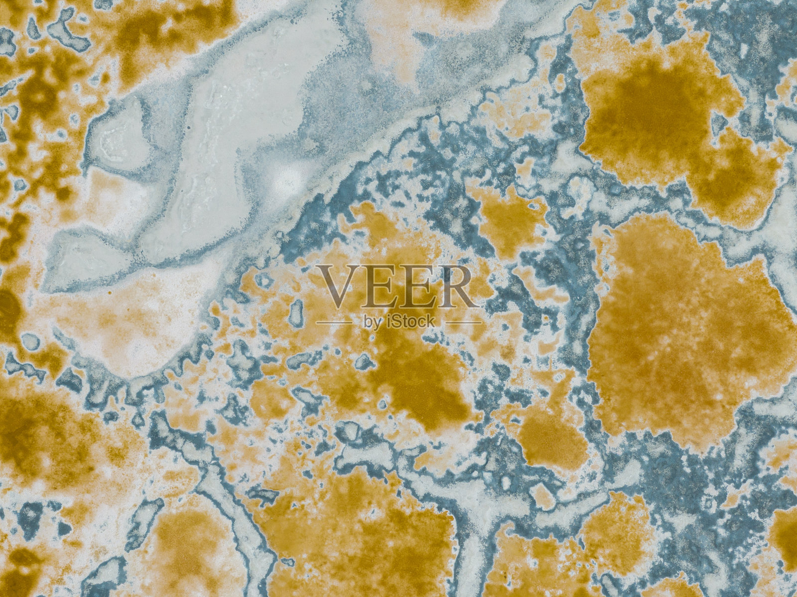 自然的形状和纹理照片摄影图片