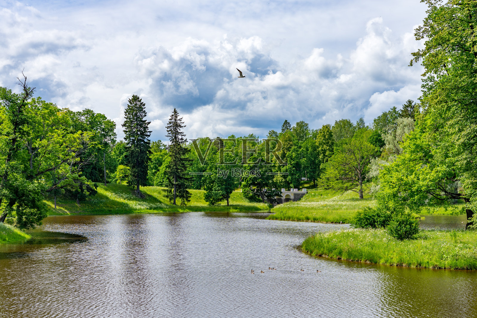 绿色公园的景观照片摄影图片