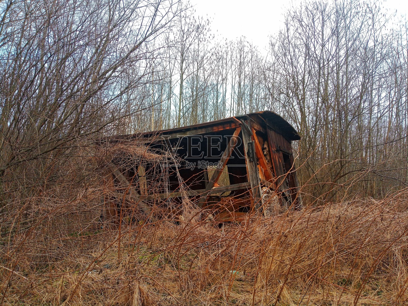 旧木谷仓的废墟照片摄影图片