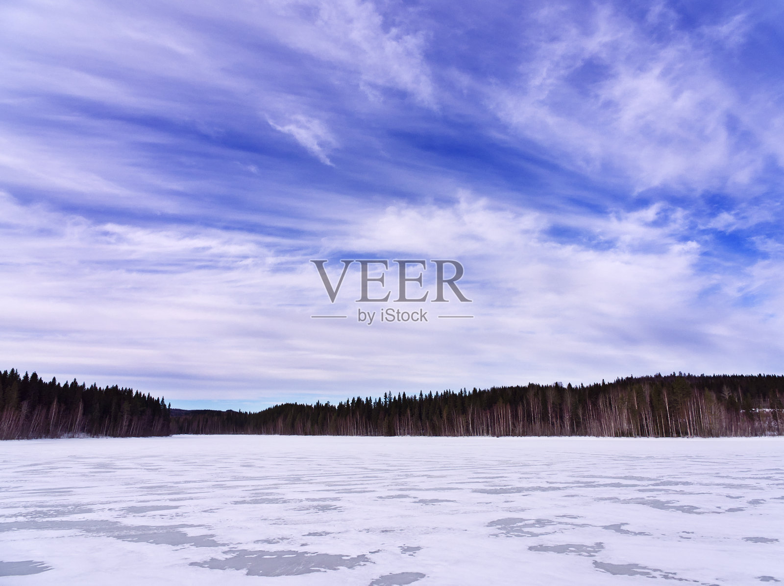 雪路穿过森林照片摄影图片