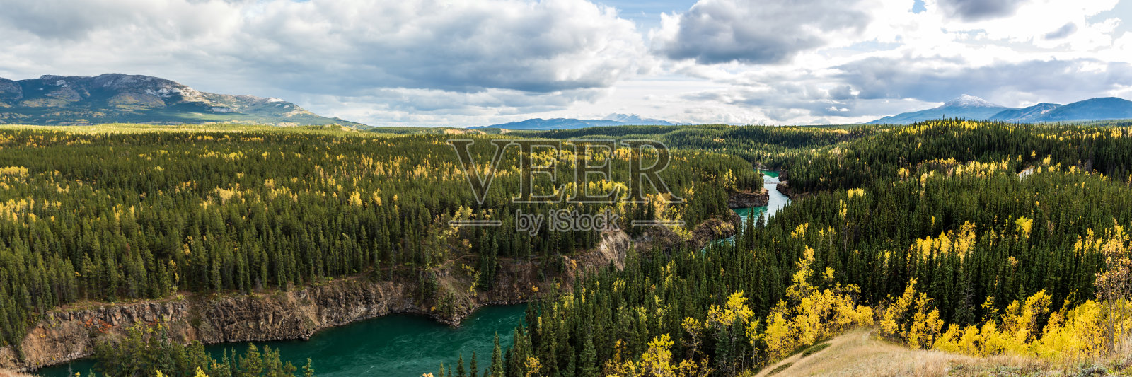 加拿大育空地区风景秀丽，全景，全景与迈尔斯峡谷，怀特霍斯。照片摄影图片