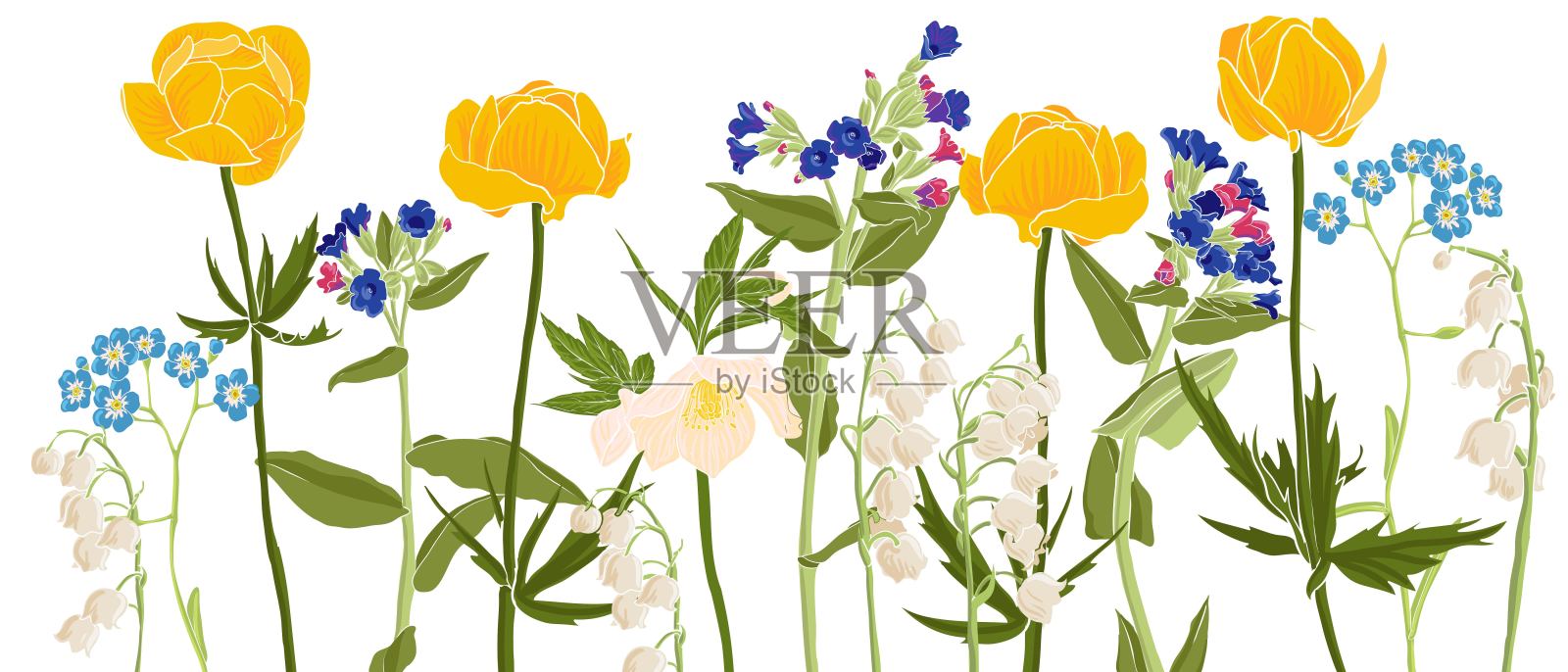 矢量绘制野花插画图片素材