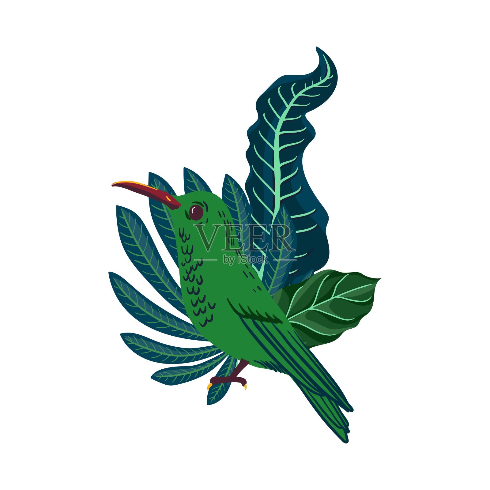 矢量绘制热带树叶和蜂鸟插画图片素材