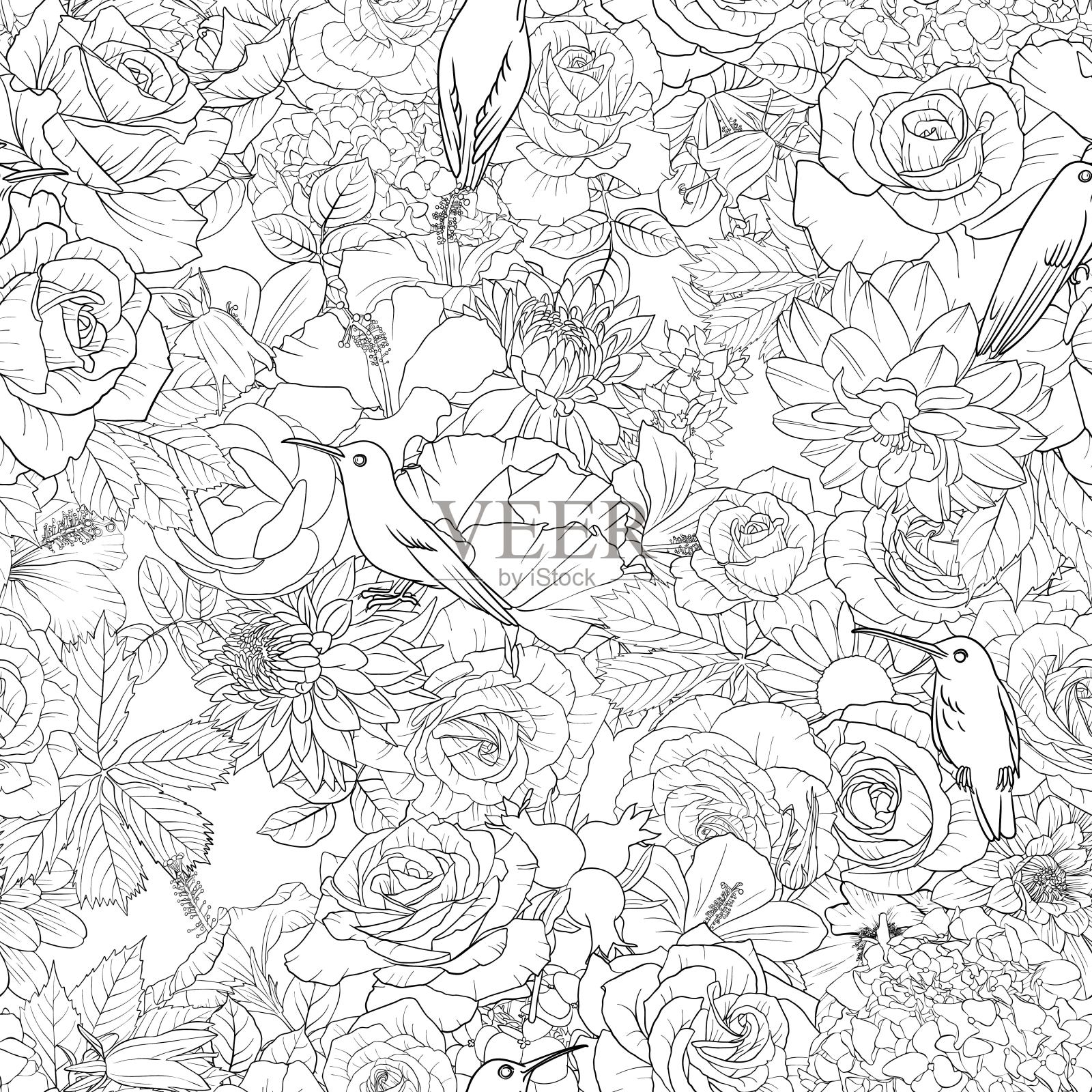 矢量绘制与鸟和花的自然背景插画图片素材