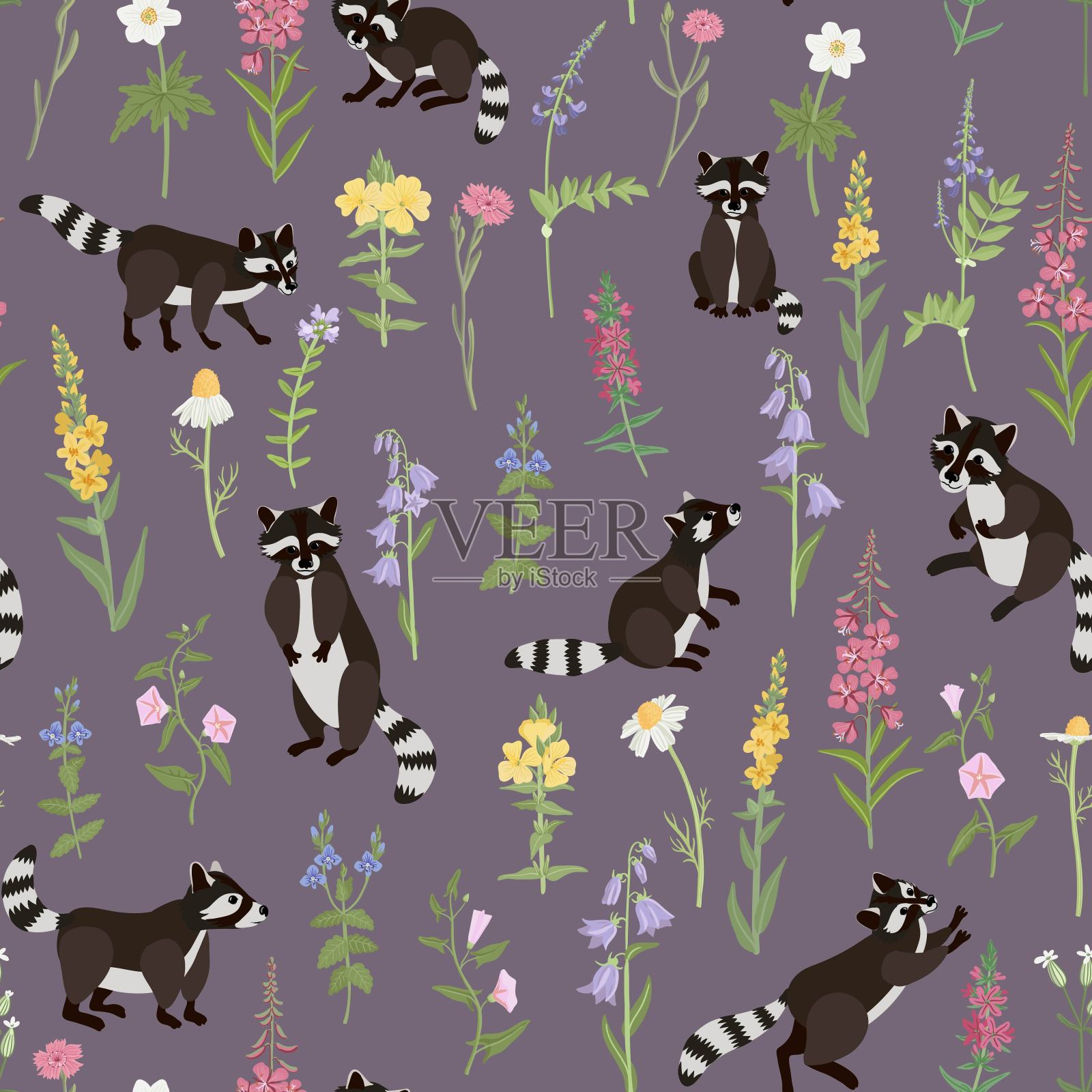 矢量无缝图案与浣熊和花插画图片素材