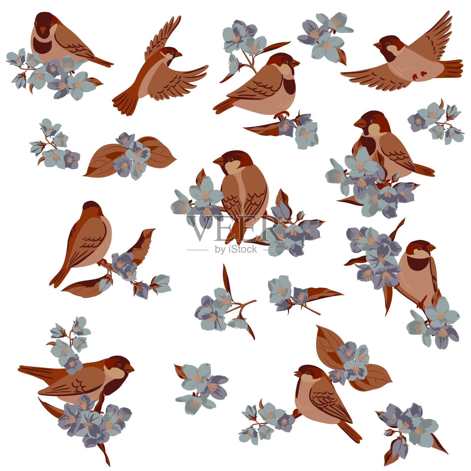 矢量绘制树枝和鸟类插画图片素材